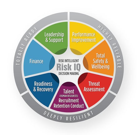 Risk IQ Balance Wheel